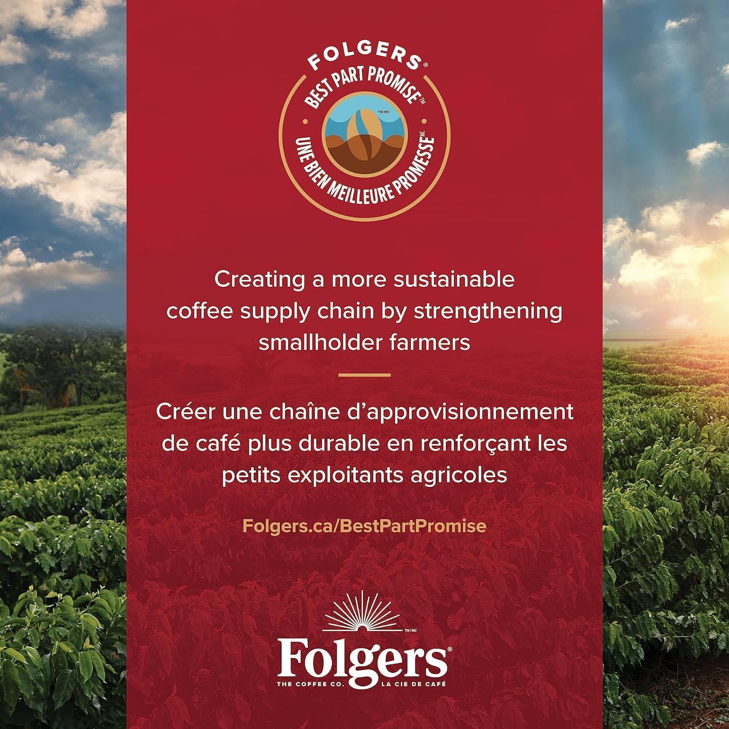 Folgers Caramel Drizzle Flavoured Coffee, Single-Serve K-Cup Pods For Keurig - View 6